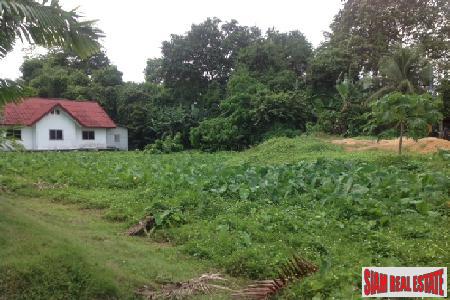 Two Bedroom House and Large Land Plot in Thalang Close to All Amenities