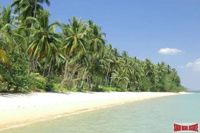 The Village Coconut Island
